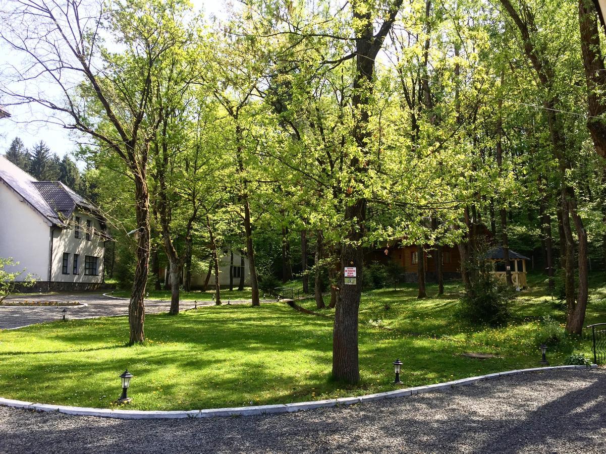 Solotvyno Resort Zewnętrze zdjęcie